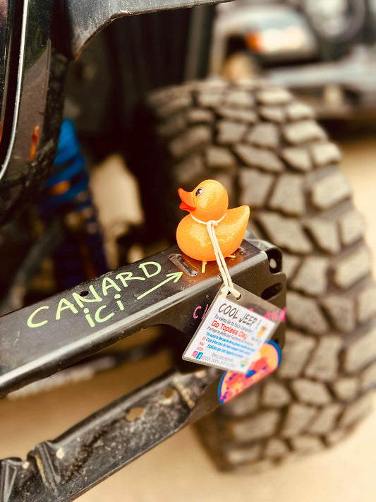 RENCONTRE (MEET) CJM / 1 MAI 2026